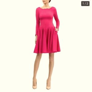 NWT BGL long sleeve a-line dress.